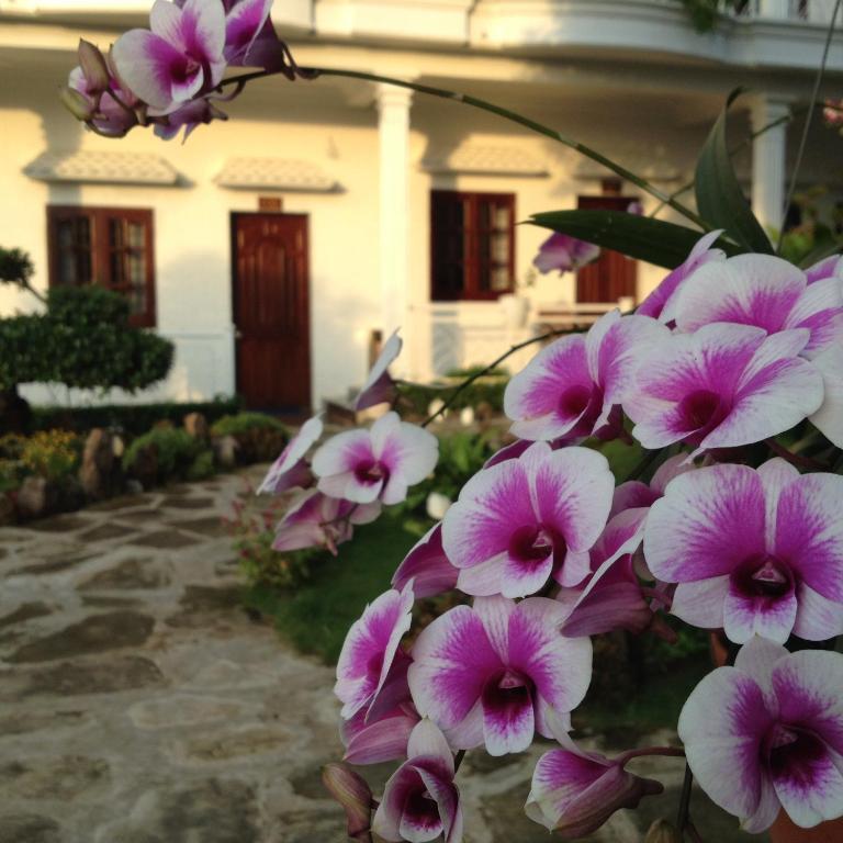 Suncosy Central Hotel Phu Quoc Exterior foto